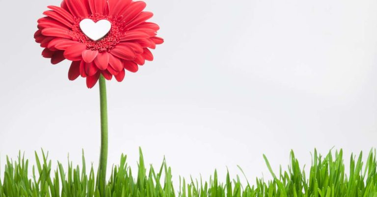 Best Caption for Facebook: Creative Ideas to Boost Engagement and Reach